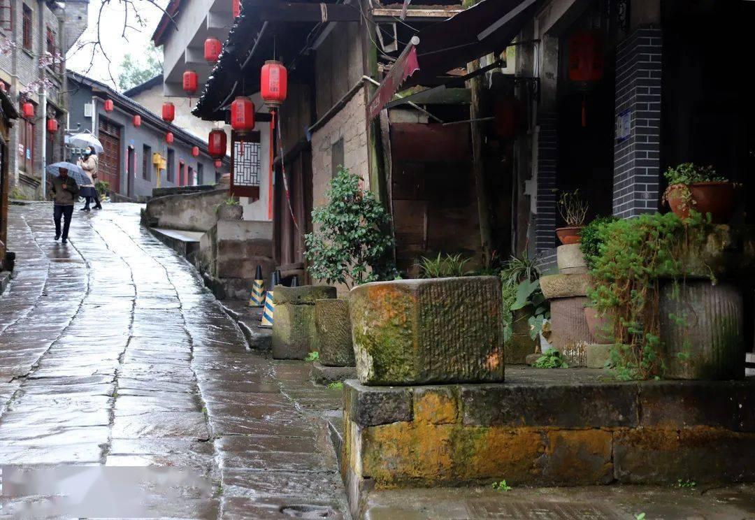 猪猪去冒险